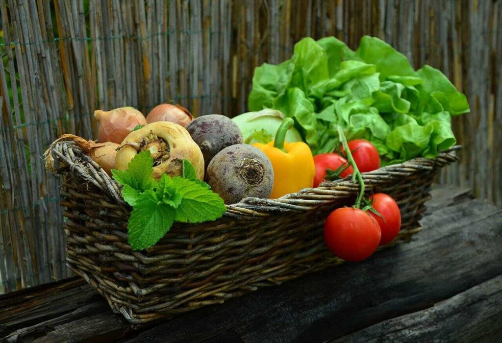 A large basket of organic vegetables on a log ตระกร้าผักออร์แกนิคหลายชนิดใบใหญ่บนขอนไม้