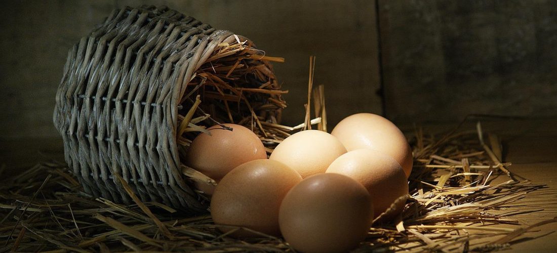 fresh organic eggs rolls out of the basket onto the straw. ไข่ไก่กลิ้งออกมาจากตระกร้าลงไปบนฟาง