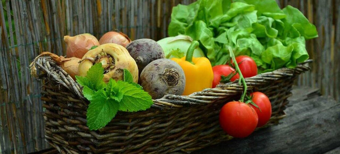 A large basket of organic vegetables on a log ตระกร้าผักออร์แกนิคหลายชนิดใบใหญ่บนขอนไม้